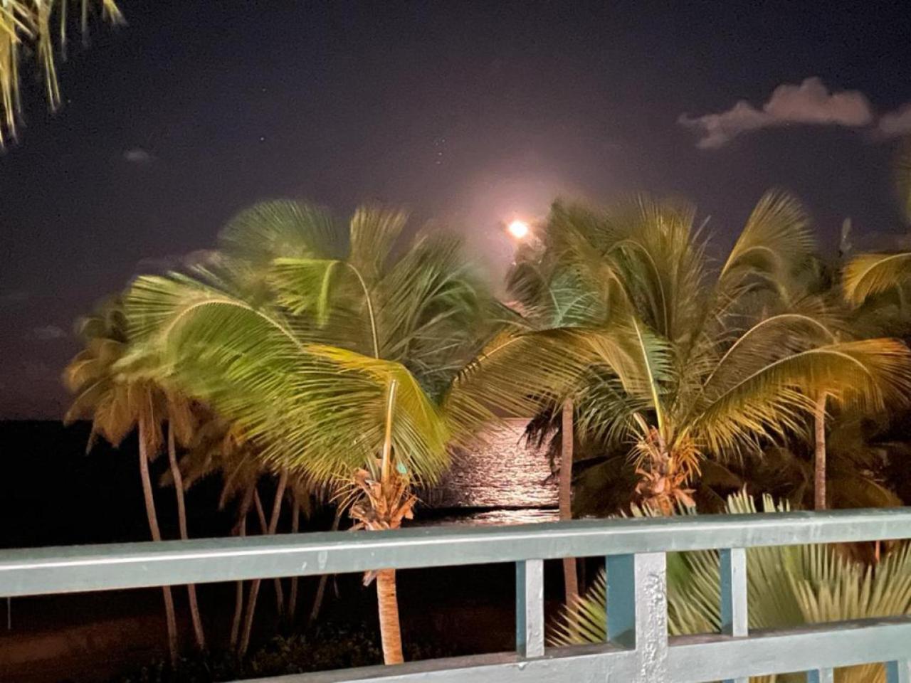 Beachfront Luxury 2 Bedroom At Wyndham Rio Mar, Pr Luquillo Eksteriør bilde