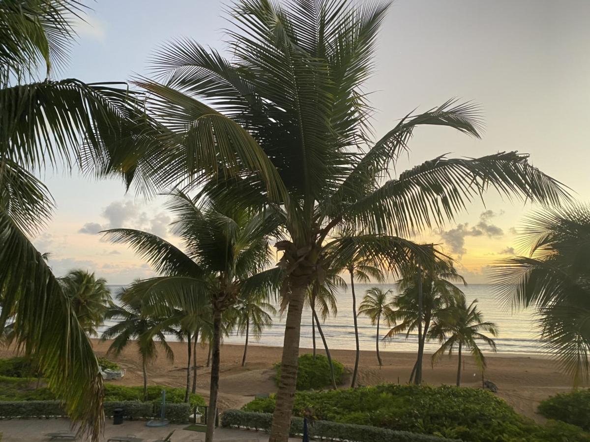 Beachfront Luxury 2 Bedroom At Wyndham Rio Mar, Pr Luquillo Eksteriør bilde