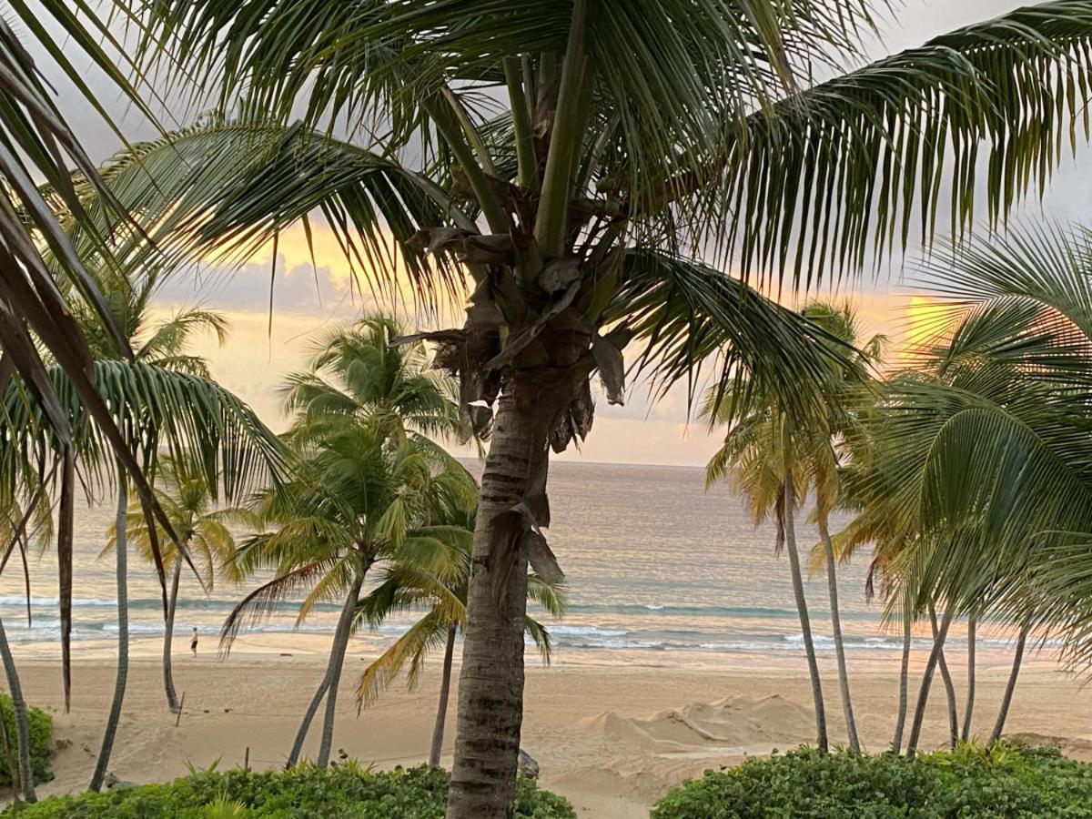Beachfront Luxury 2 Bedroom At Wyndham Rio Mar, Pr Luquillo Eksteriør bilde